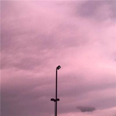 乐鱼官网手机版