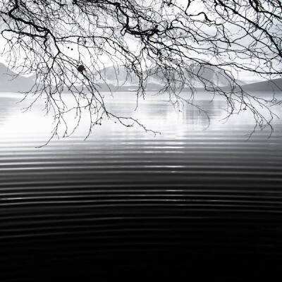 通比牛牛游戏app