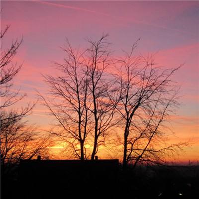 十大体育外围平台网址